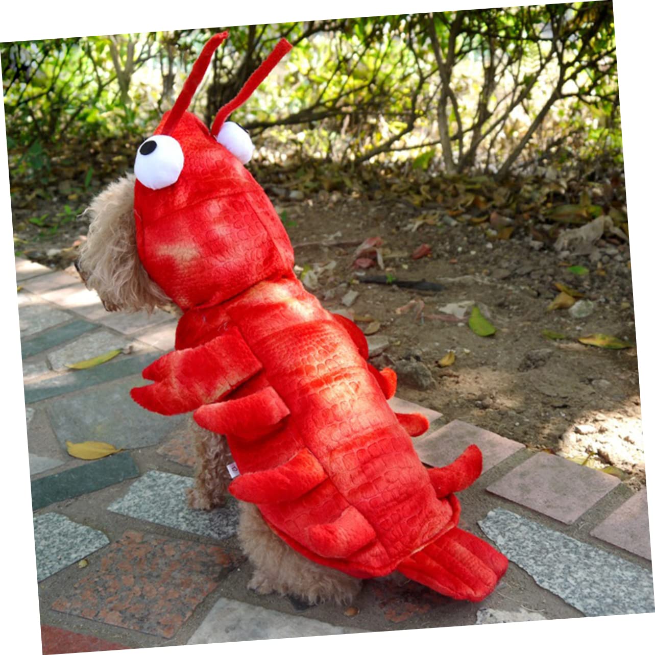 minkissy 2stücke Pet Clothes Lobster Design Für Hunde Und Katzen Wärmeisolierende Tierbekleidung Für Herbst Und Winter Für Corgis Und Katzen