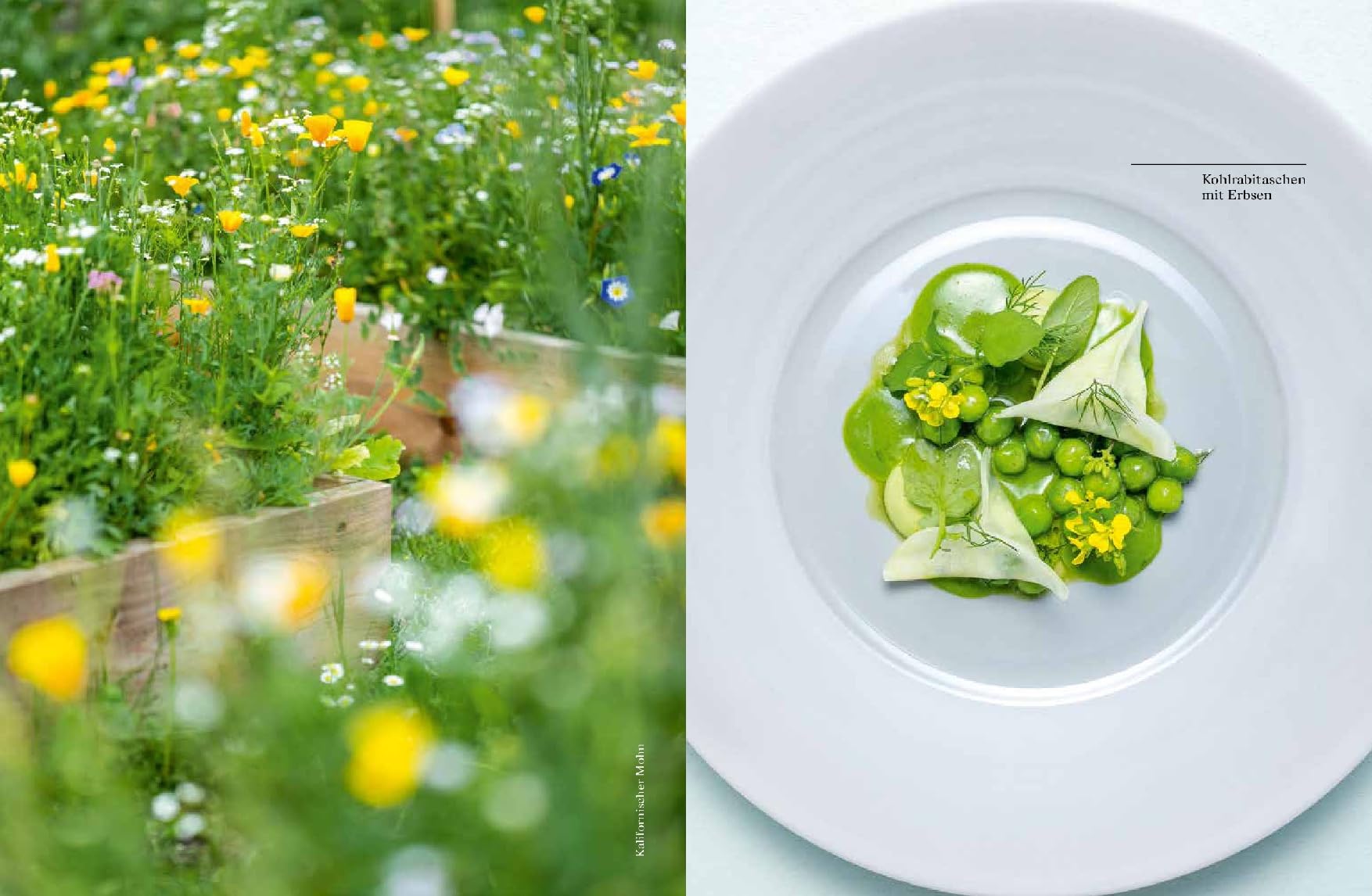 Pure Frische: Meine vegetarische Küche