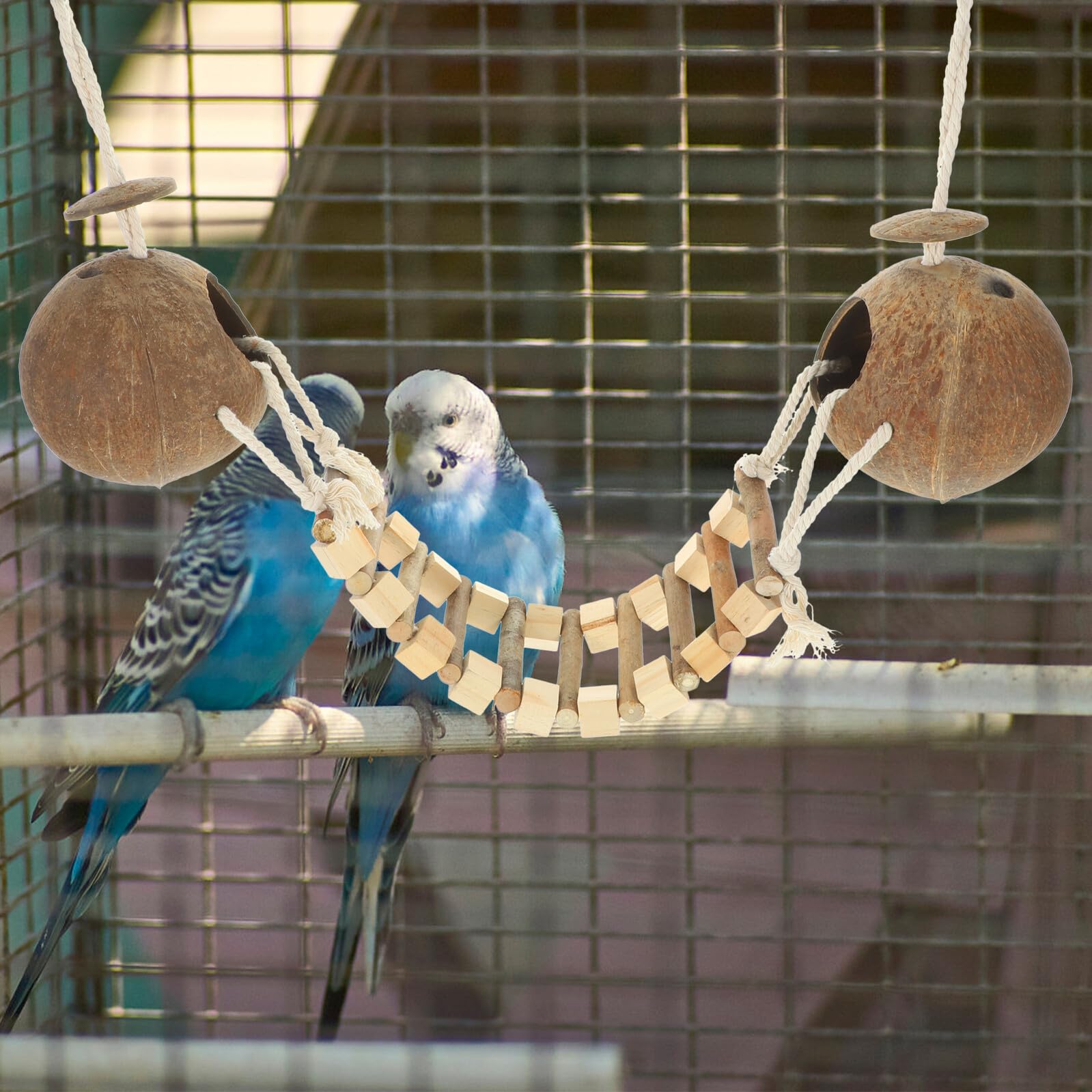 ibasenice Kokosnuss vogelnest mit Leiter Hängendes Vogelhäuschen für Papageien und Wellensittiche Langlebiges Multifunktionales Nist Schlafhaus Dekoratives Vogelspielzeug für Käfig und
