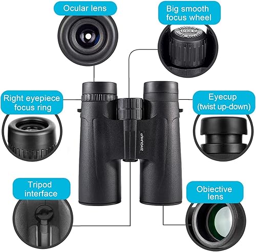 Miniatura 7 de Binoculares de 12 x 50 para adultos y niños, prismáticos compactos con adaptador y trípode plegable, prismáticos de visión grande, prisma BAK4 y