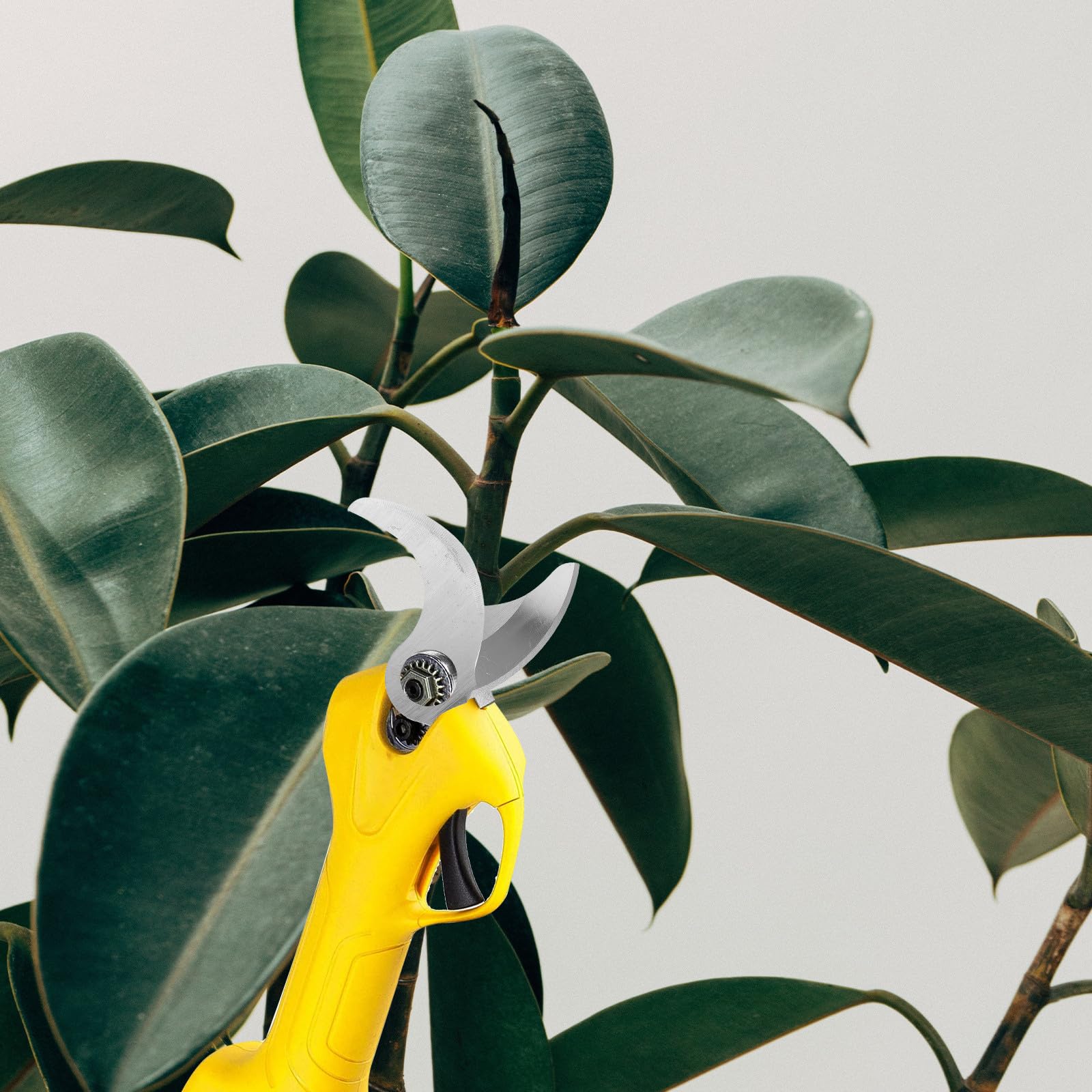 Repuestos de Cuchillas para Tijeras de Podar Eléctricas, Hojas de Acero al Carbono de 30Mm para Uso en Jardinería y Cultivo de Bonsáis