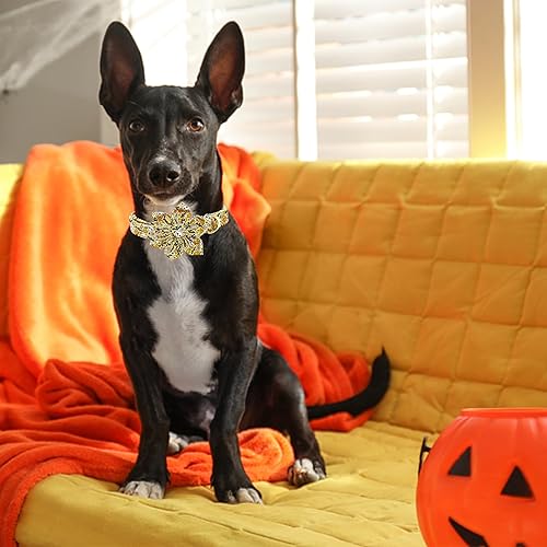 Miniatura 6 de Lionheart Glory Collares de Halloween para perros, collar de calavera con patrón de flores ajustables para perros pequeños y cachorros