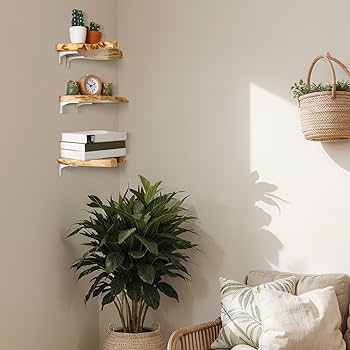Amazon.com: Pinkunn 3 Pcs Floating Shelves for Wall Mounted