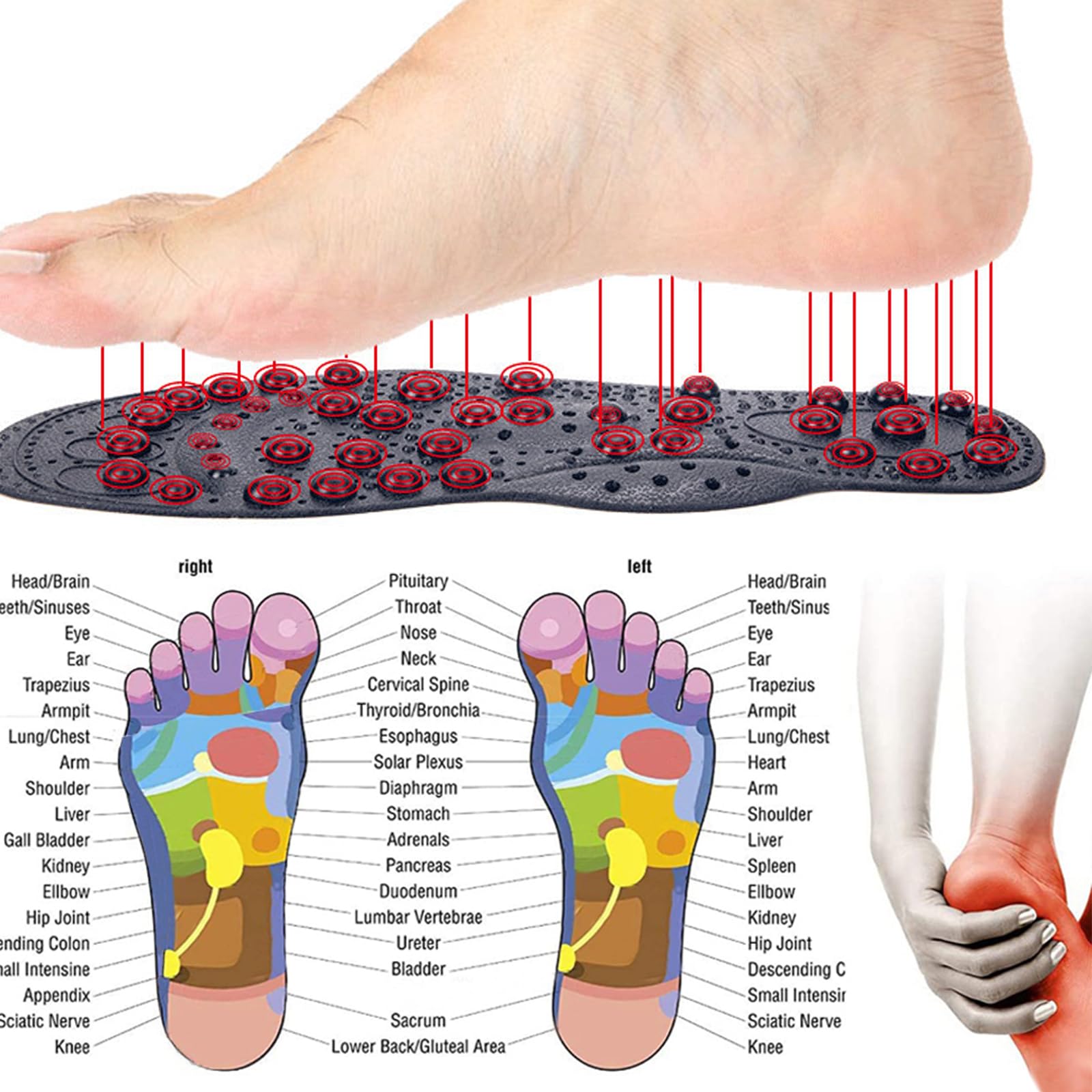 Plantillas Adelgazar Magnéticas, 1 Par (68 Imanes Naturales) Masaje Pies Reflexologia Podal Acupresión Plantilla Fascitis Plantar, Mejora la Circulación Sanguínea (41-46)