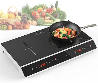 Double Induction Cooktop, 4000W 2 burner Induction cooktop with LED Touch Screen 10 Levels Settings with Child Safety Lock & Timer 110V Electric burner with hot plate