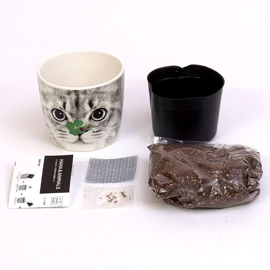 クローバーの苗 G ・Rセット☆ネコポス便発送！ クローバーの苗 G ・Rセット☆ネコポス便発送！ - メルカリ