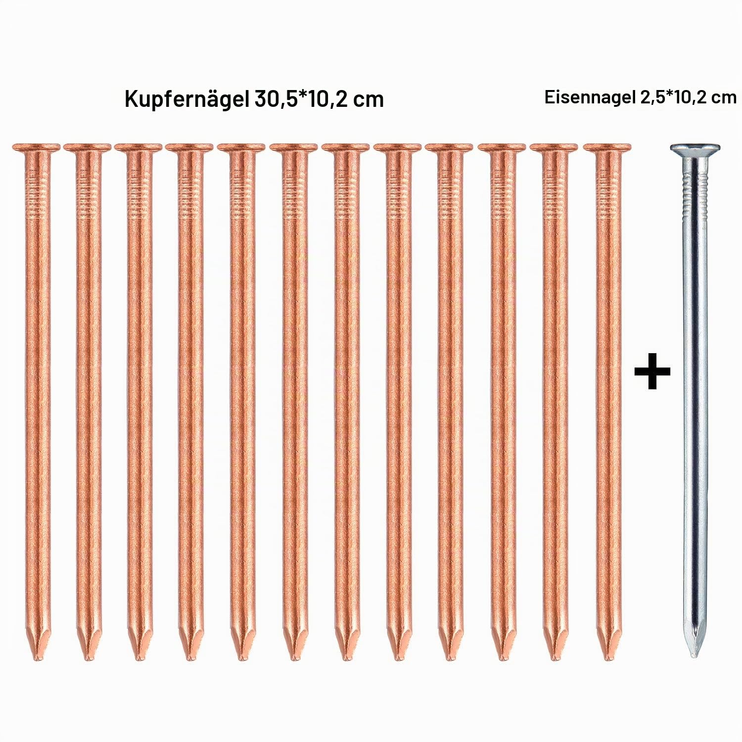 100 mm, 12 Stück, Kupfernägel, lang, zum Töten von Bäumen, Entfernen von Baumstümpfen mit 10,2 cm (4 Zoll) Nägel aus Stahl, Aufbewahrungsbox im Lieferumfang enthalten