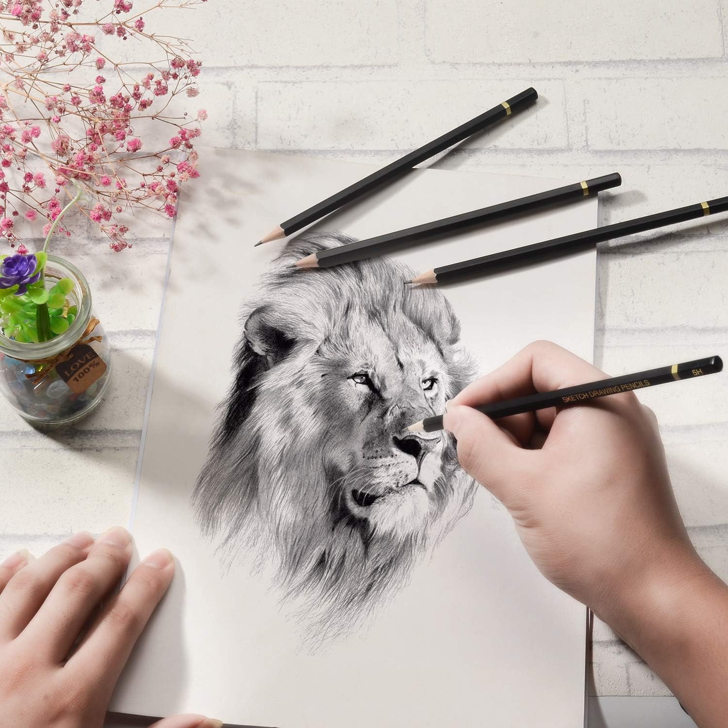 Mincho Professional Sketch Drawing Pencil Set - 24 Piece Artist Pencils Set Includes Graphite, Charcoal, Eraser Pencils (7H-14B), Ideal for Drawing Art, Sketching, Shading, for Beginners & Pro Artists : Arts, Crafts & Sewing