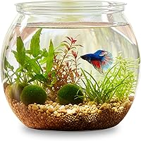InnoHHustle Mini Plastic Fish Bowl 30oz Unbreakable Small Fish Tank - Decorative Centerpiece Vase for Parties & Betta Aquarium