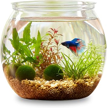 InnoHHustle Mini Plastic Fish Bowl 30 oz Decorative Small Fish Tank Unbreakable Aquarium Starter Kit for Centerpiece Vases Party Decorations