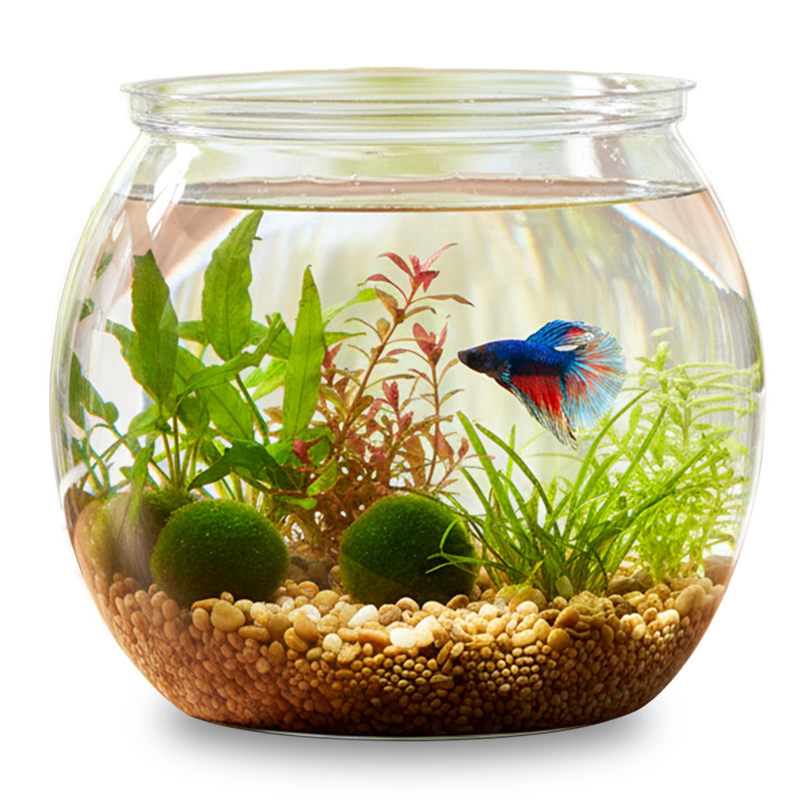 InnoHHustle 30 oz Unbreakable Mini Fish Bowl Aquarium Kit