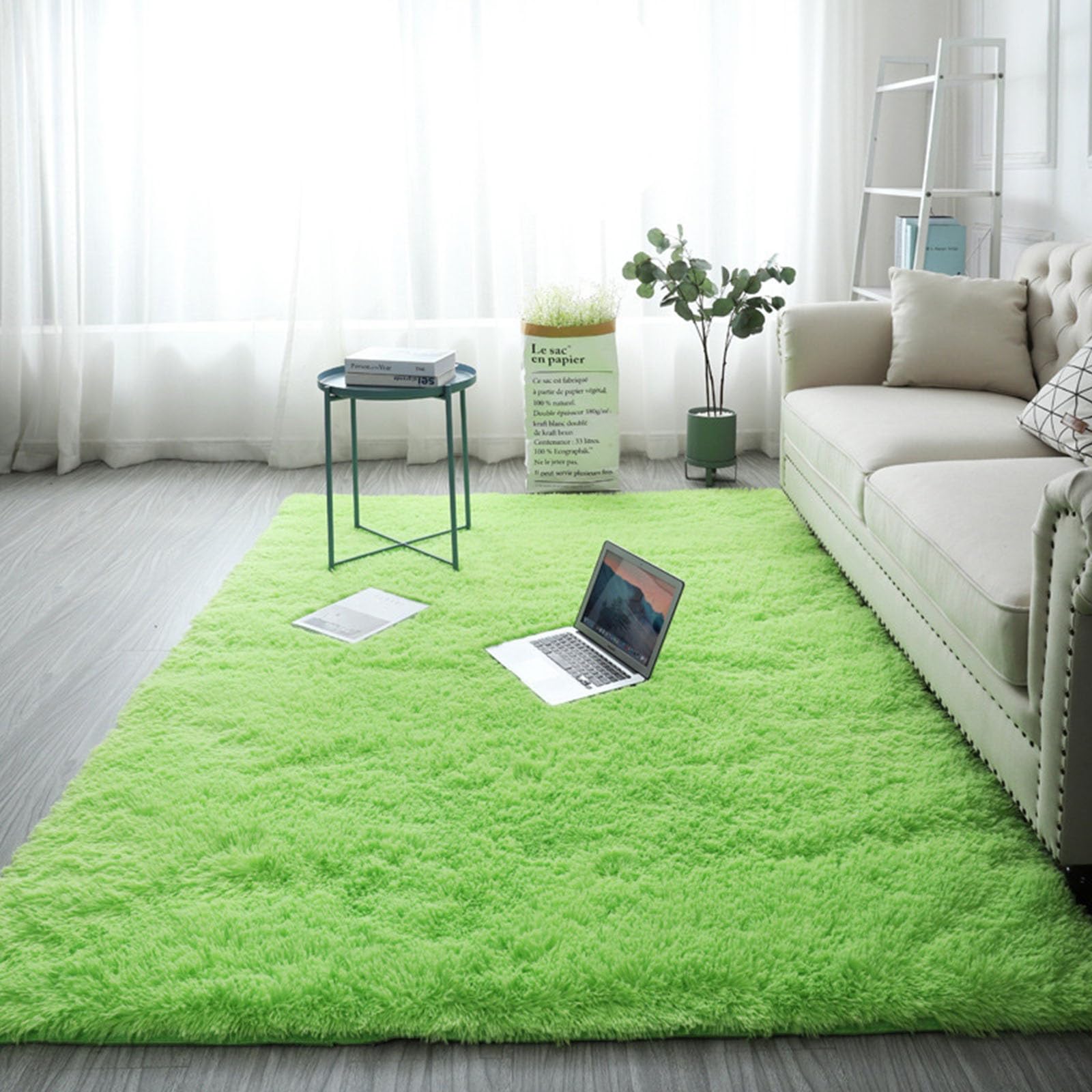XUEDNGM Modern Floor Carpets for Living Room 110 x 140 cm(43 x 55inch) Modern, Fluffy, Non-Slip Underside, Easy Care Fluffy Shaggy Area Rugs Non-Slip Fluffy Rugs for Living Room Bedroom, Light green