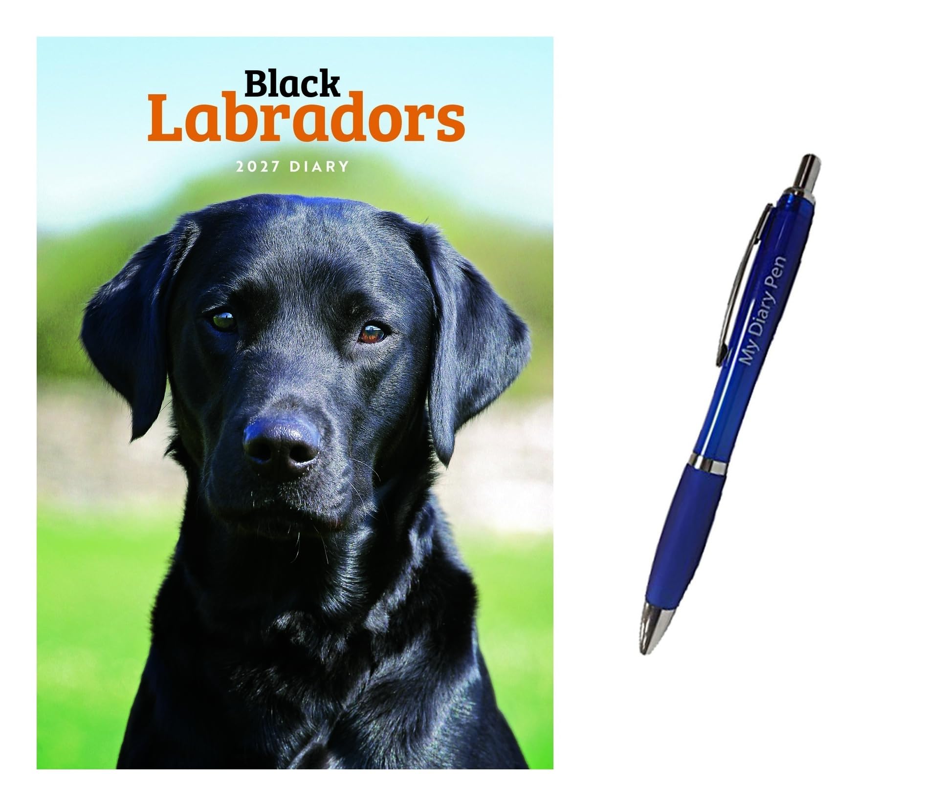 Labrador Retrievers Black A5 Diary 2027 + Exclusive Limited Edition Pen