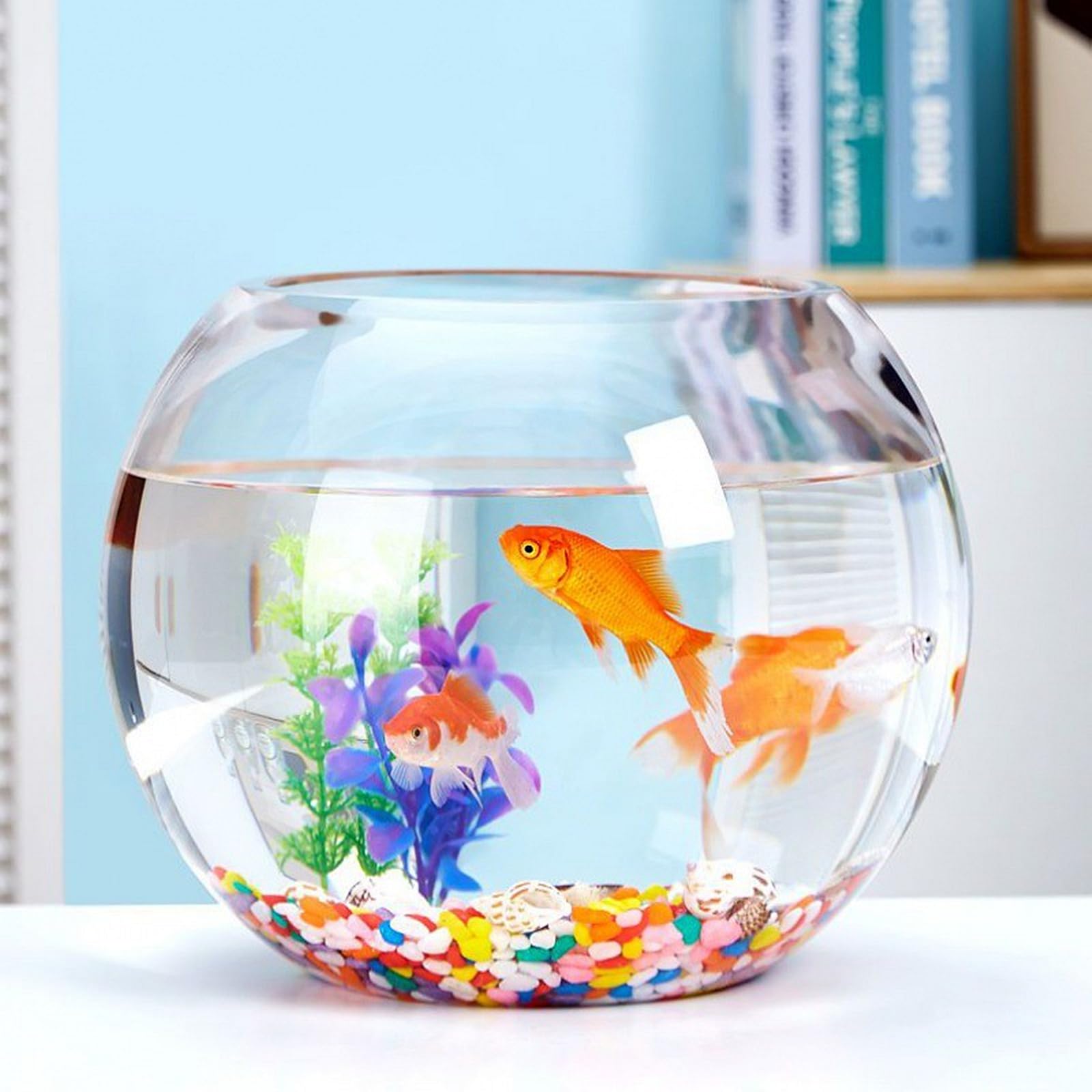 昭和初期ゆらゆらグラス金魚鉢ガラス水槽金魚ベタレア Amazon | 金魚鉢 インテリア アクアリウム 金魚鉢 丸型金魚鉢