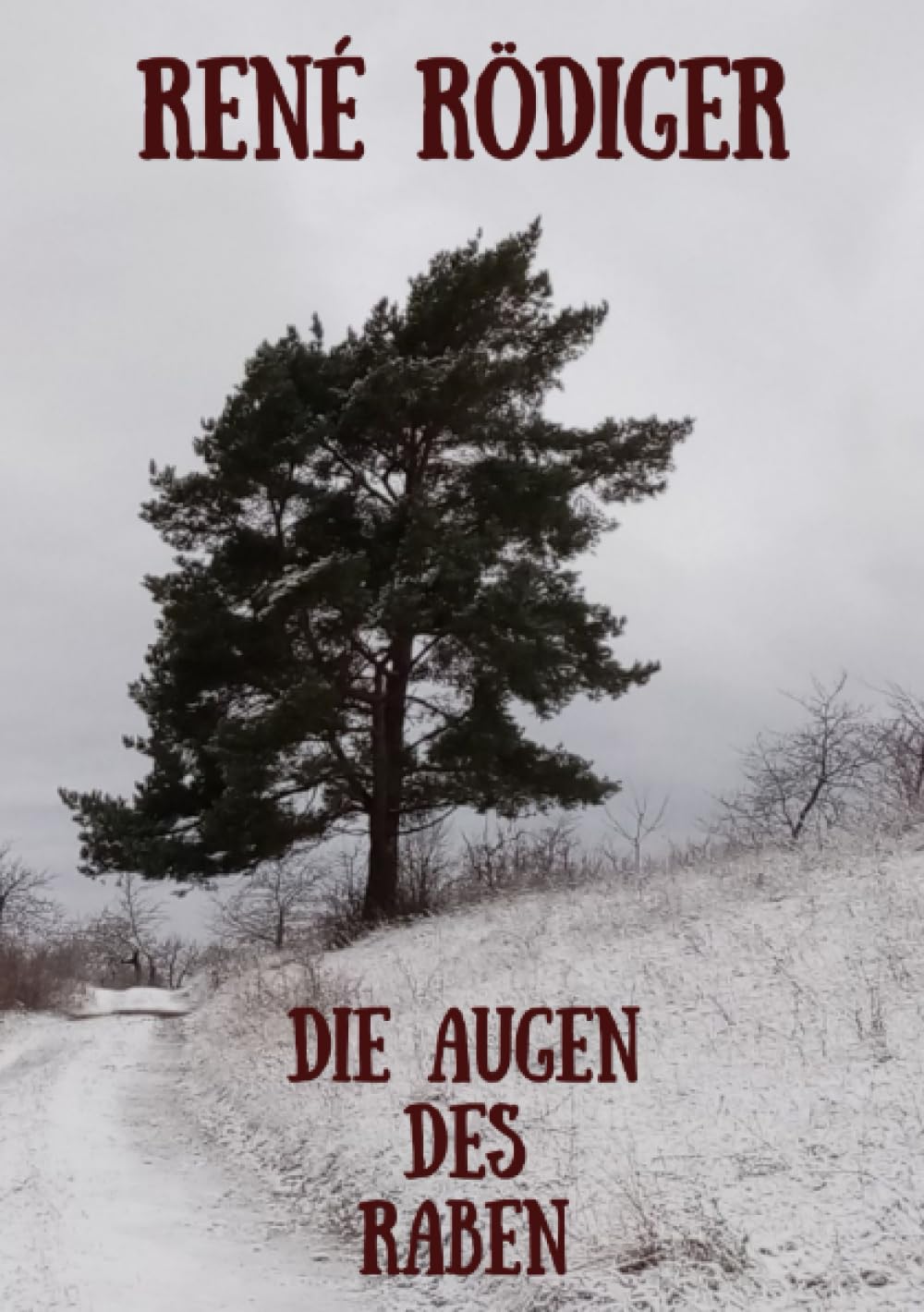 Die Augen des Raben