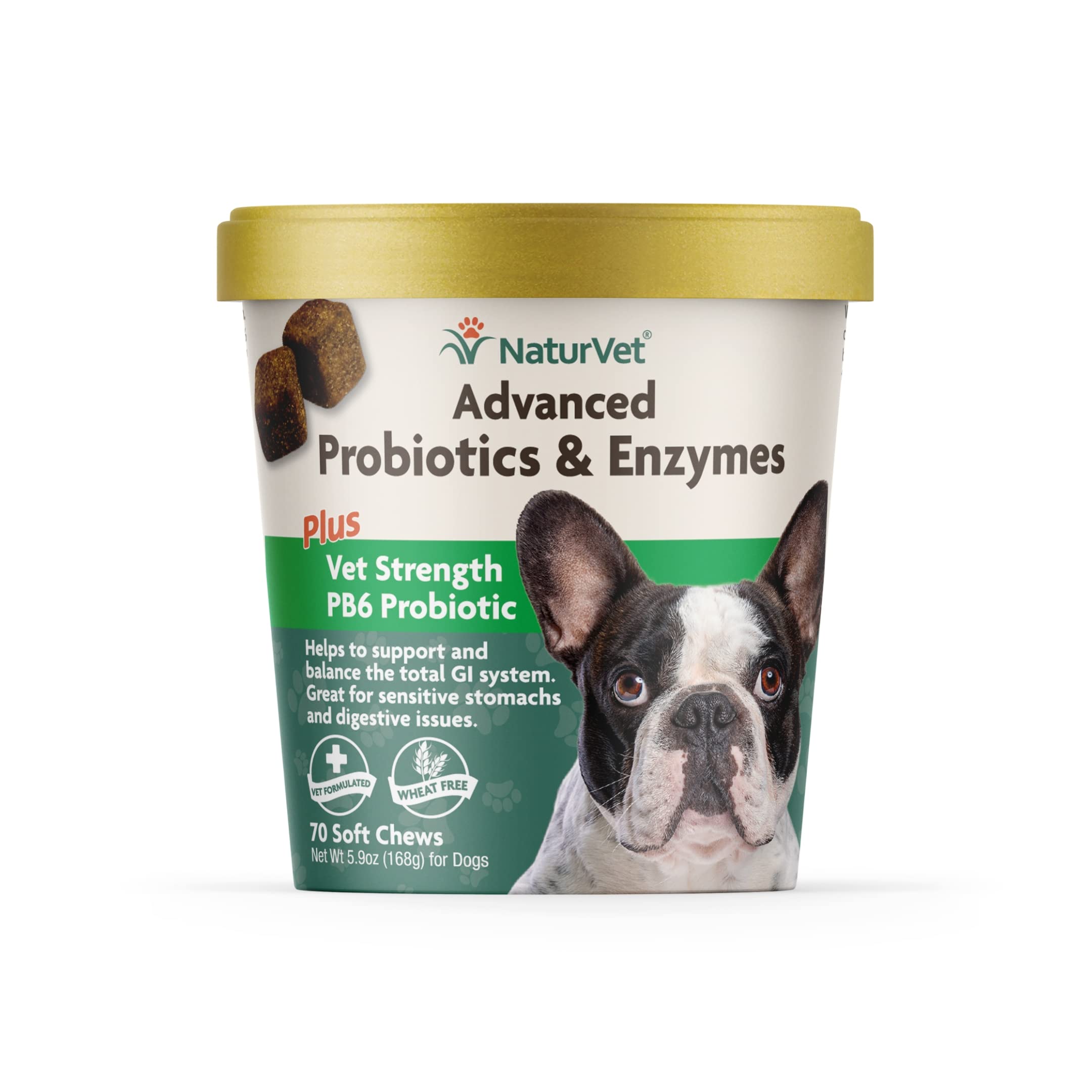 Buy NaturVet Advanced Probiotics and Enzymes Supplement, Plus Vet