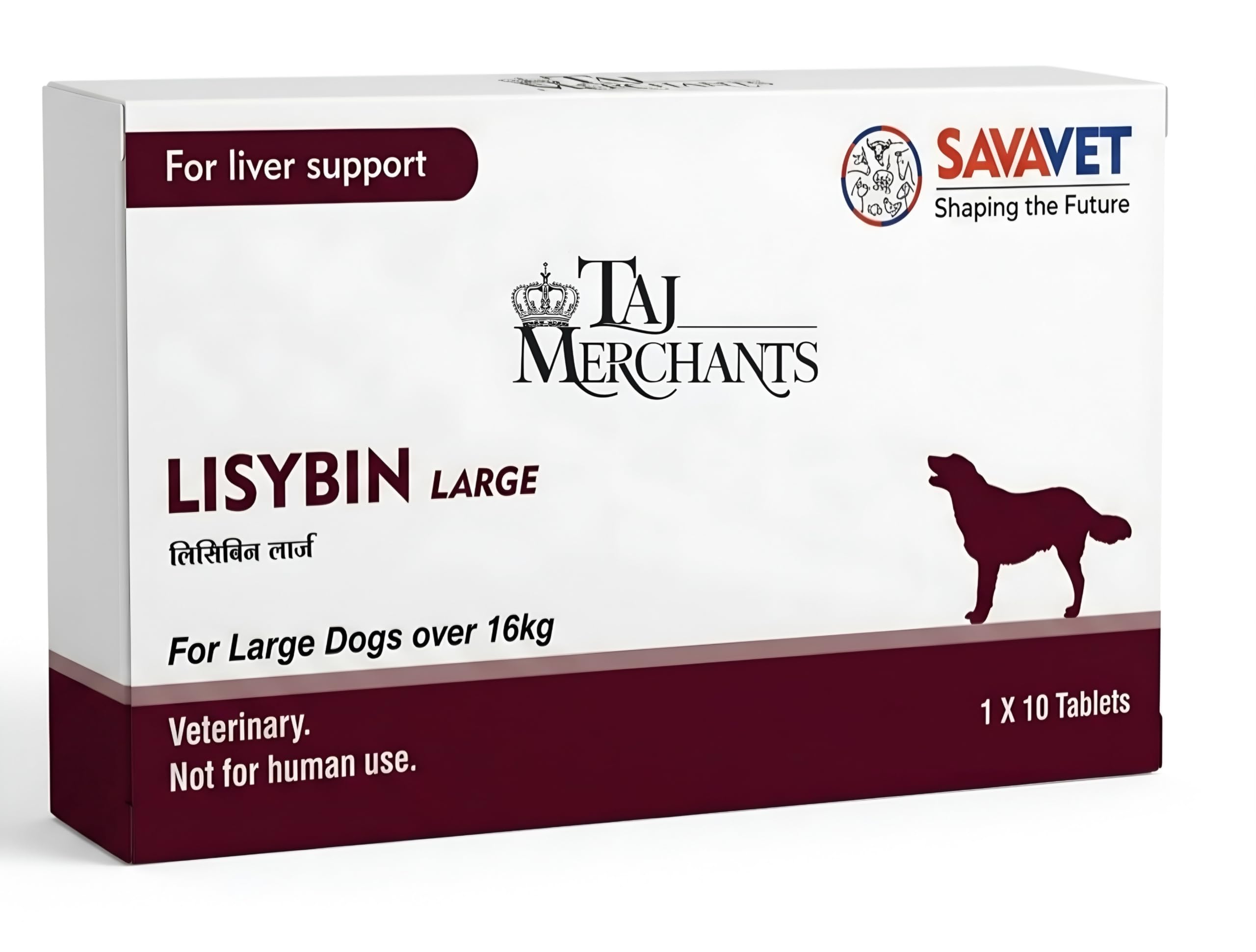 (OG) TM Presents LISYBIN Liver Supplement for Large Dogs (Above 16Kg)||10 Chews-image-40