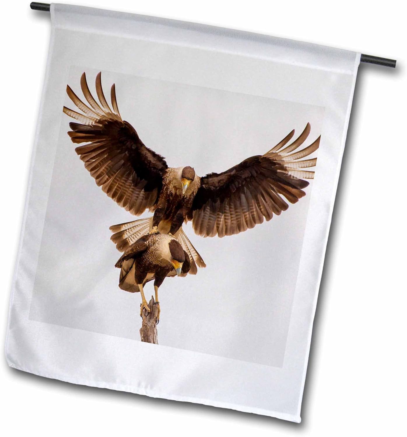 3dRose fl_190689_2 Garden Flag, 18" x 27"