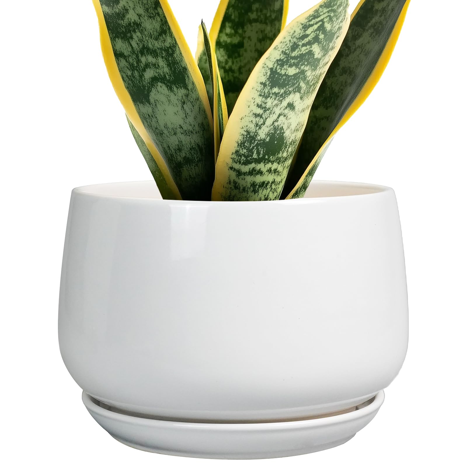 G EPGardening Ceramic Pots for Plants - 7 Inch Planter for Indoor Plants, Round Flower Pots with Drainage and Saucer, Modern Outdoor Planter, Garden Decor, Home Gifts, White