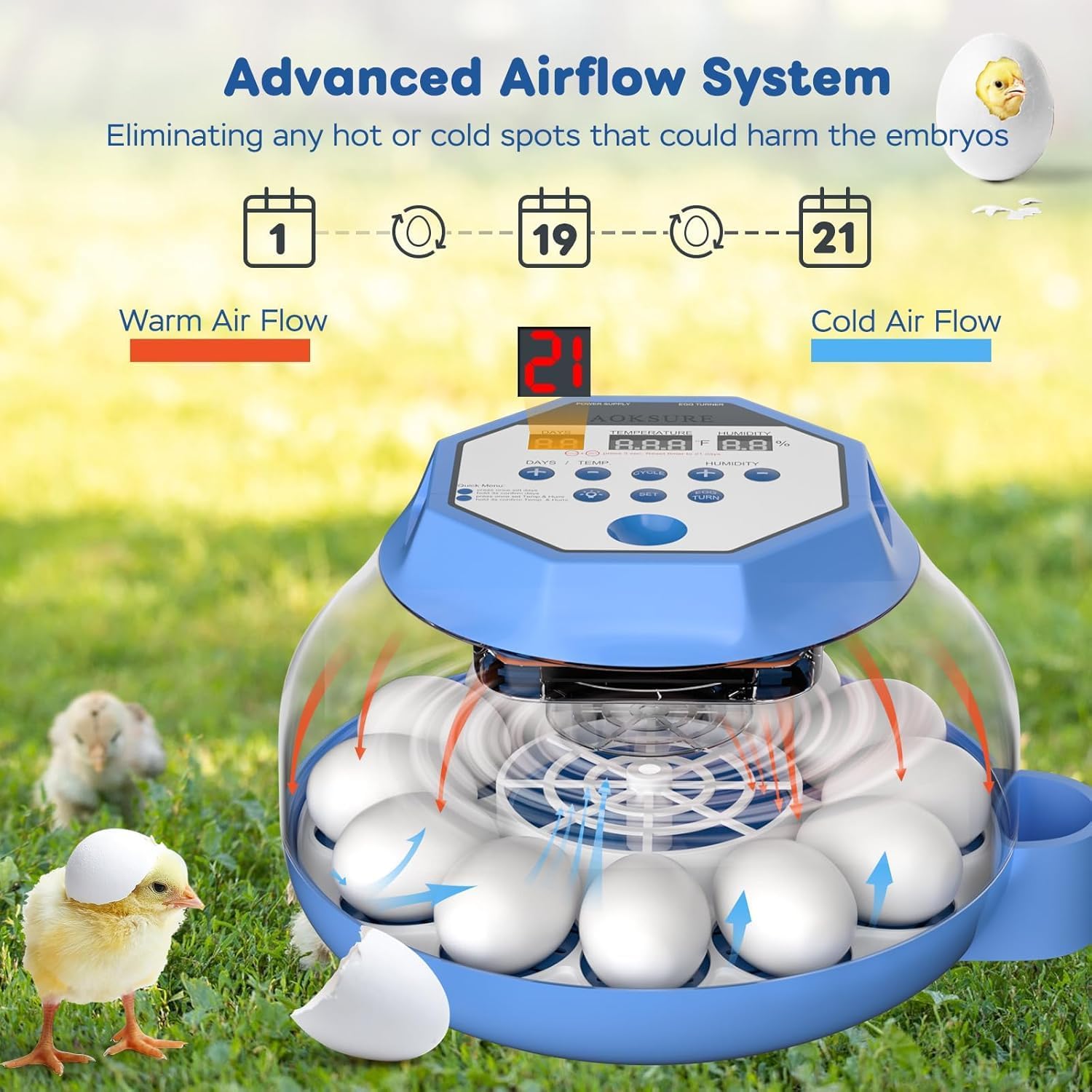 Automatic Egg Incubator with Turner & Humidity Control, 12-24 Egg Capacity, 360° View Clear Top, Poultry Hatcher for Chicken, Duck, Quail & Bird Eggs (E12 New)