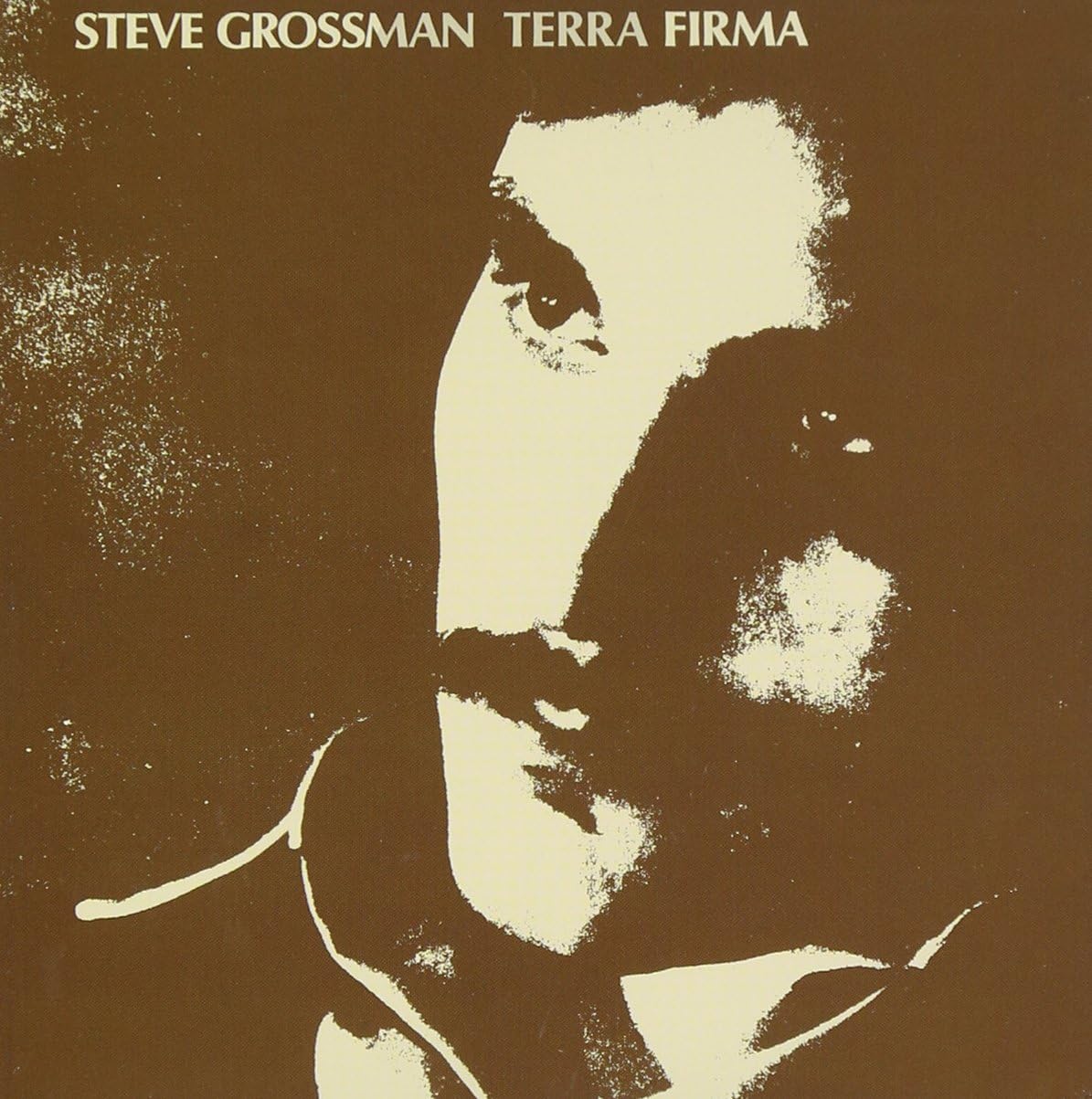 STEVE GROSSMAN - Terra Firma - Disque CD