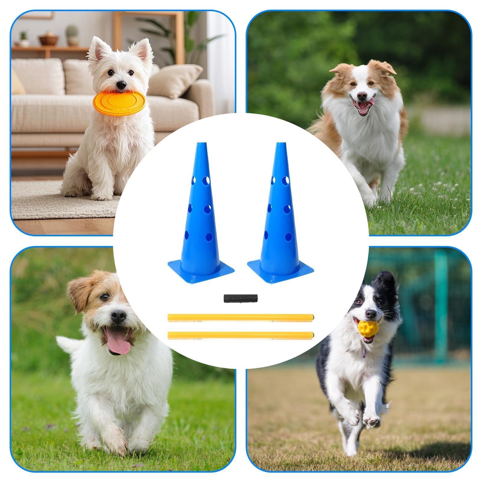 Sprzęt do treningu agility dla psów Przenośne akcesoria dla pupili | Sprzęt agility na zewnątrz dla małych psów dla Szczeniaka i na Zawody Zabawę Ćwiczenia w Domu na Zewnątrz w Parku