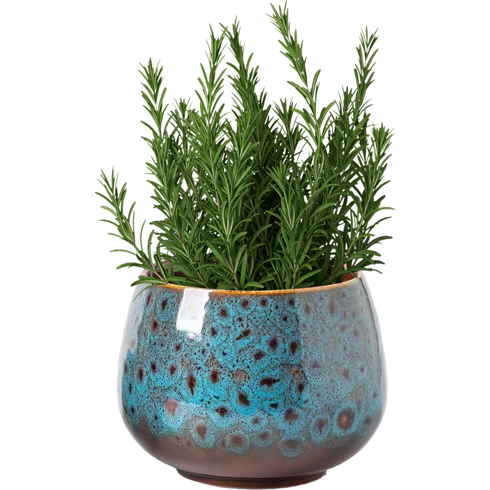 Pot de fleurs succulentes rond lotus en céramique antidérapante vintage