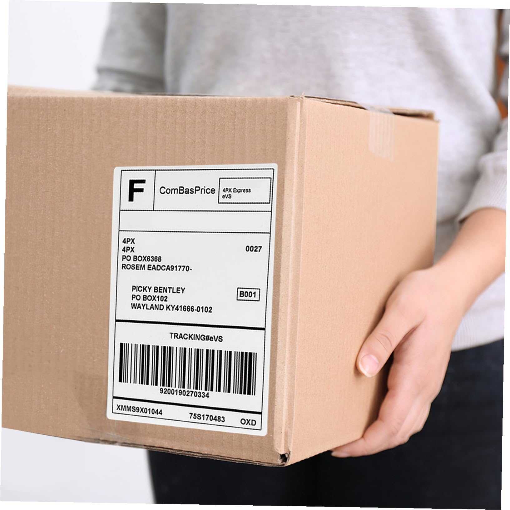 Sewroro 500 pièces Étiquettes Thermiques Autocollantes Lot avec Ligne Perforée Résistantes à Huile Usure pour Expédition Étiquettes Adresse et Prix Faciles à Déchirer