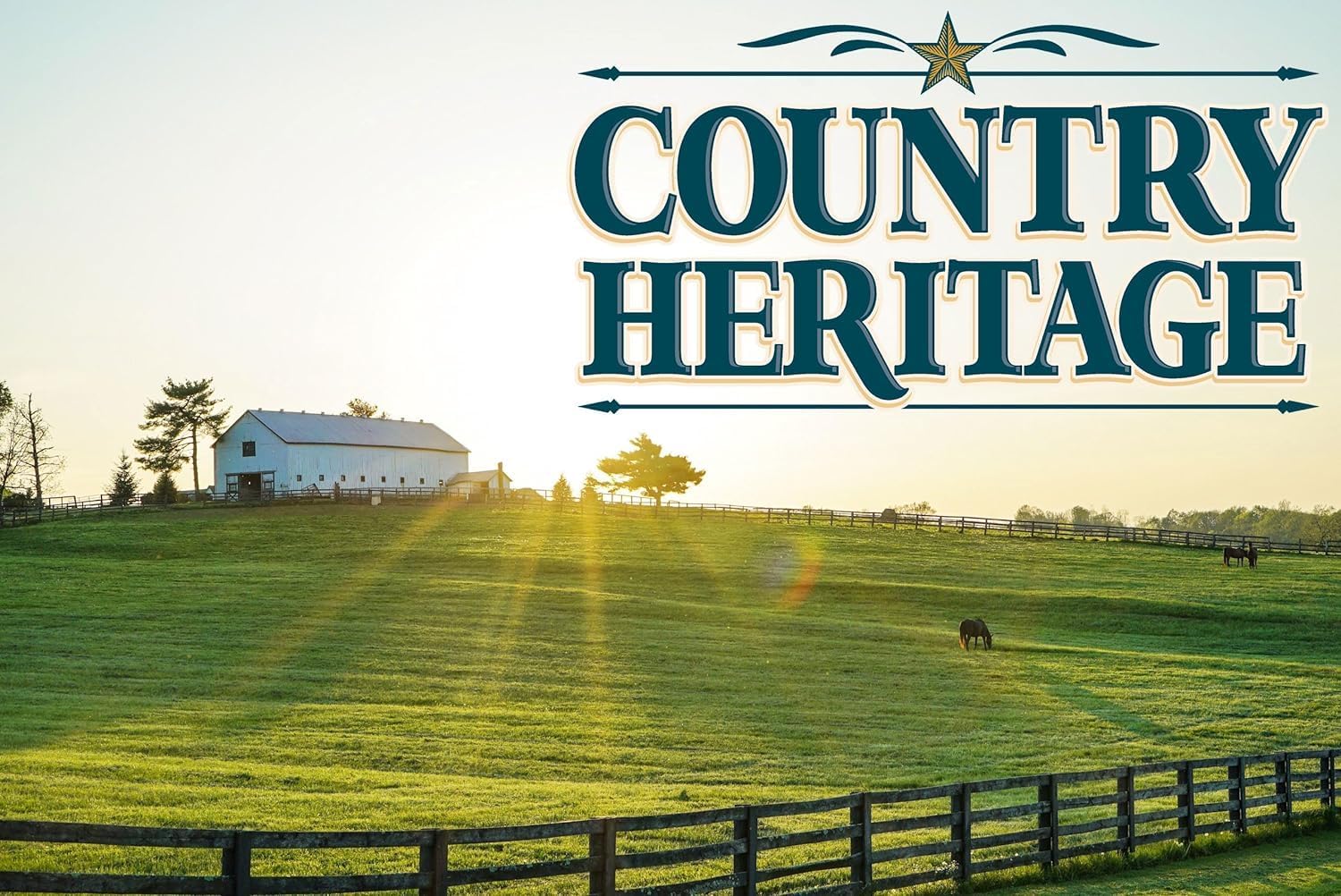 Bulk Whole Flax Seed Omega-3 Fatty Acid Supplement for Horses (50 Pounds)