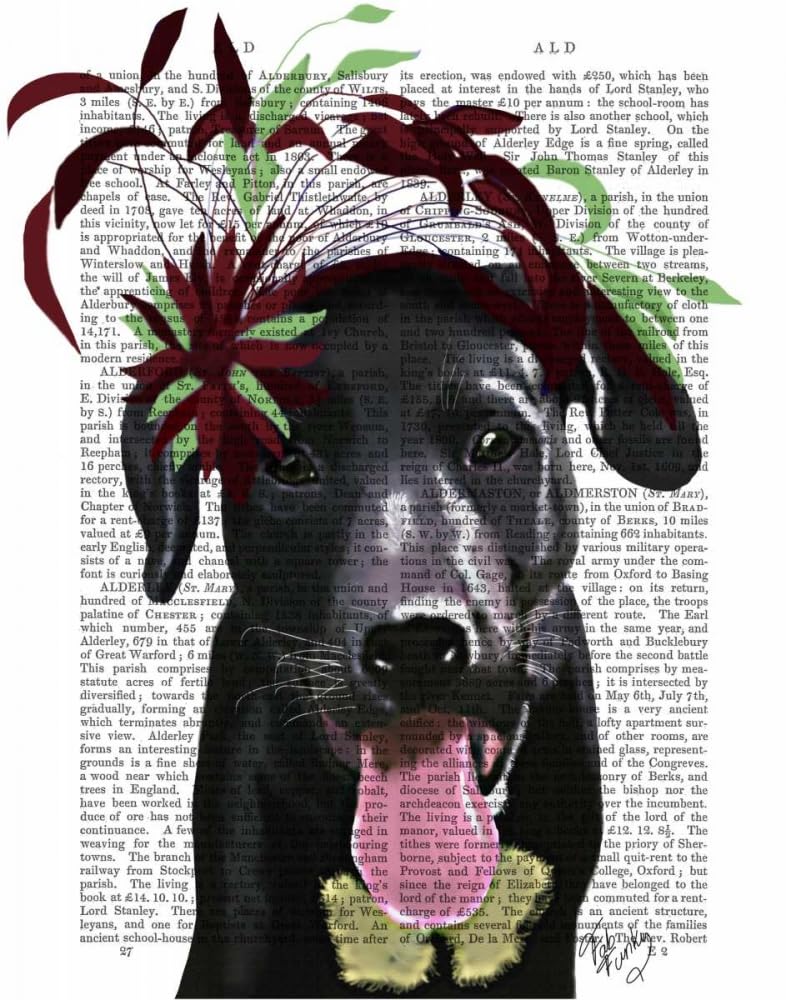 Black Labrador With Green Fascinator Poster Print - Funky Fab (24 x 36)
