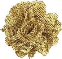 Vista 7 de allydrew Shabby Chic - Flor de arpillera de 3 pulgadas de diámetro (juego de 12), champán