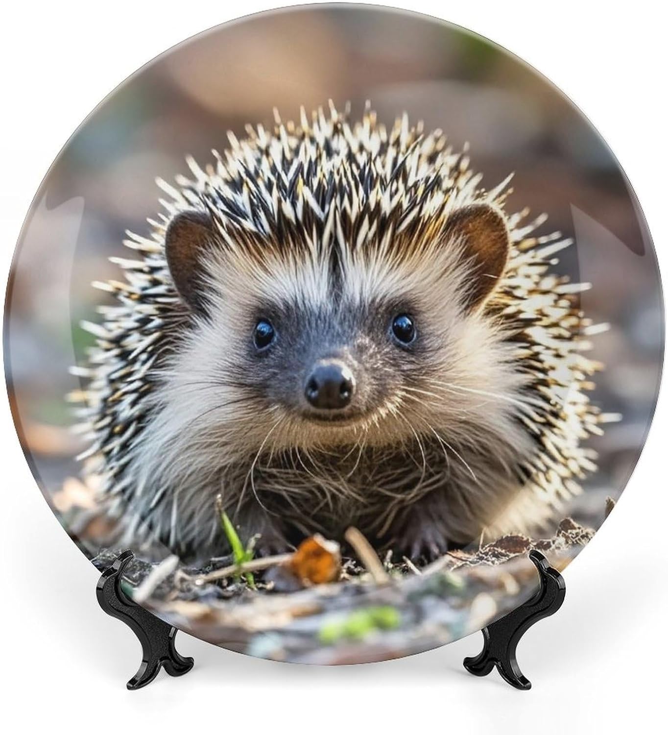 Hedgehog Ceramic Plate 10inch Decorative Bone China Wall Hanging Ornament Plates Bohemian Style Dinner Plate with Display Stand Cabinet Display Plates for Home Art Decor
