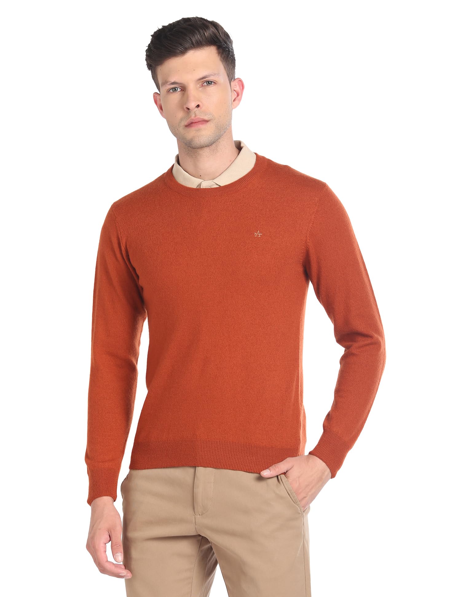 arrow Men's Wool Round Neck Casual Sweater-picture-32