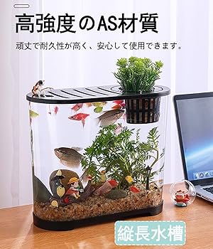 水槽 amzero Amazon | テトラ(Tetra) おさかな飼育 静かなセット PL-17SF