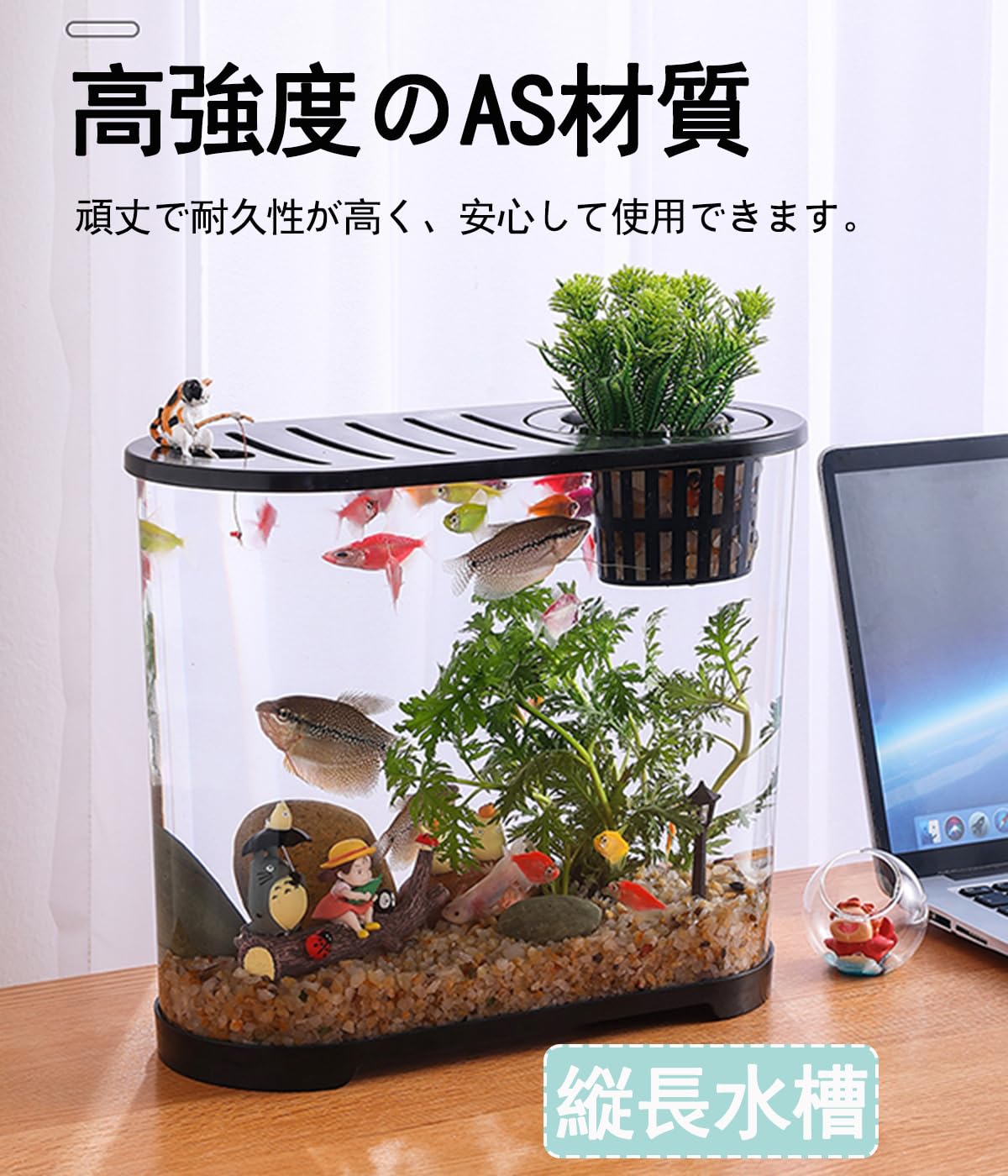 アクアリウム メダカアクアリウム「しずく」の風景 - YouTube