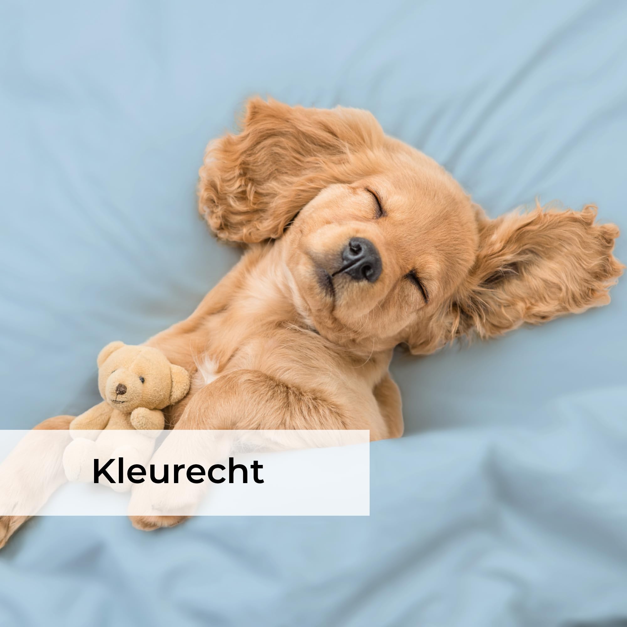 Lenzuolo con angoli 180x200cm – Altezza del bordo 40cm – In microfibra di poliestere spazzolato – Adatto per letti boxspring – Si adatta a materassi fino a 40cm – Certificato OEKO-TEX, Azzurro chiaro