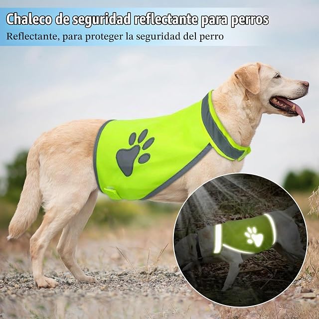 Foto 5 de 8 de ZYEKIU Chaleco Reflectante de Seguridad para Perros de Alta Visibilidad