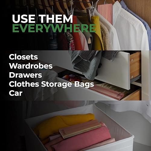 Miniatura 3 de Bloques de cedro para almacenamiento de ropa, evita daños en la ropa, 10 tablones y perchas de cedro fresco para proteger tu ropa