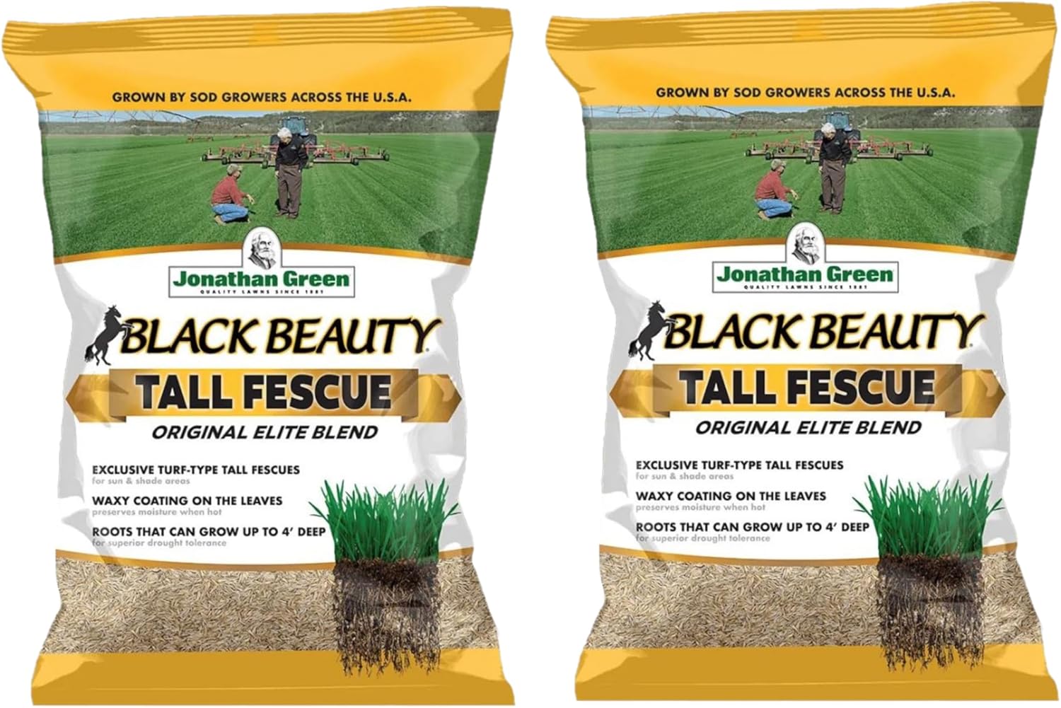 BLACK BEAUTY GRS SEED25#, UPC: 079545103156