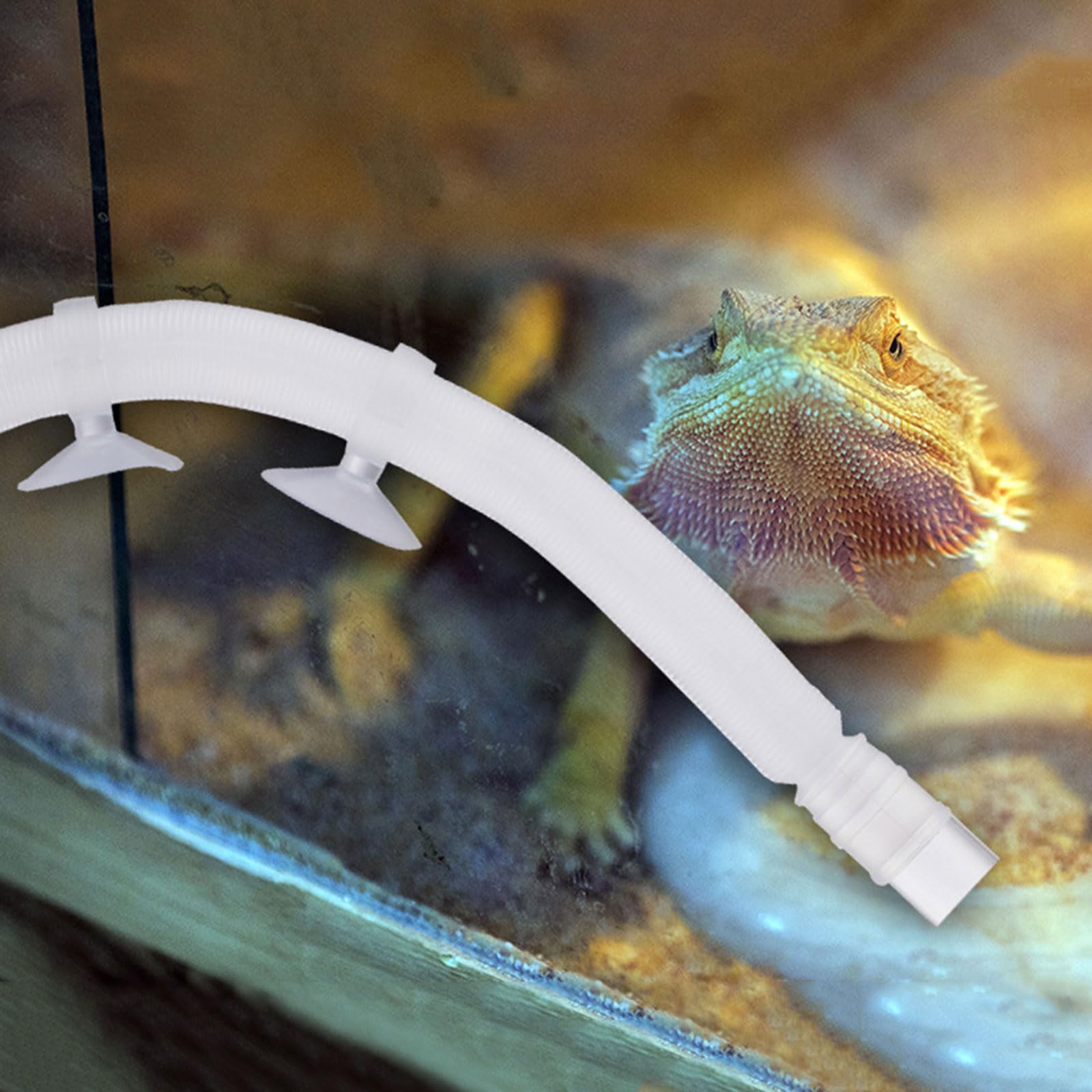 Reptilien Terrarien Luftbefeuchter, Nebelsystem, Nebelmaschine, Mister Reptilien Luftbefeuchter, Reptilien und Amphibien Hygrometer, Reptilien Terrarien Luftbefeuchter