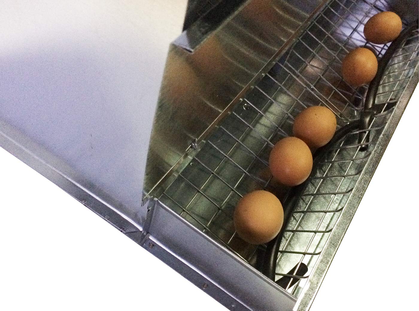 Nido a 3 Posti con Gambe di Sostegno Tutto in Lamiera e Rete Zincate per Galline Ovaiole. Massimo ingombro cm L 85 x P 42 x H 69. Solo il Nido Misura Cm L 85 x P 42 x H 45