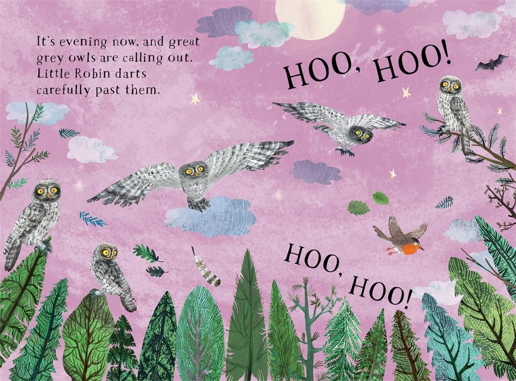 Little Robin's Book of Birds: 16