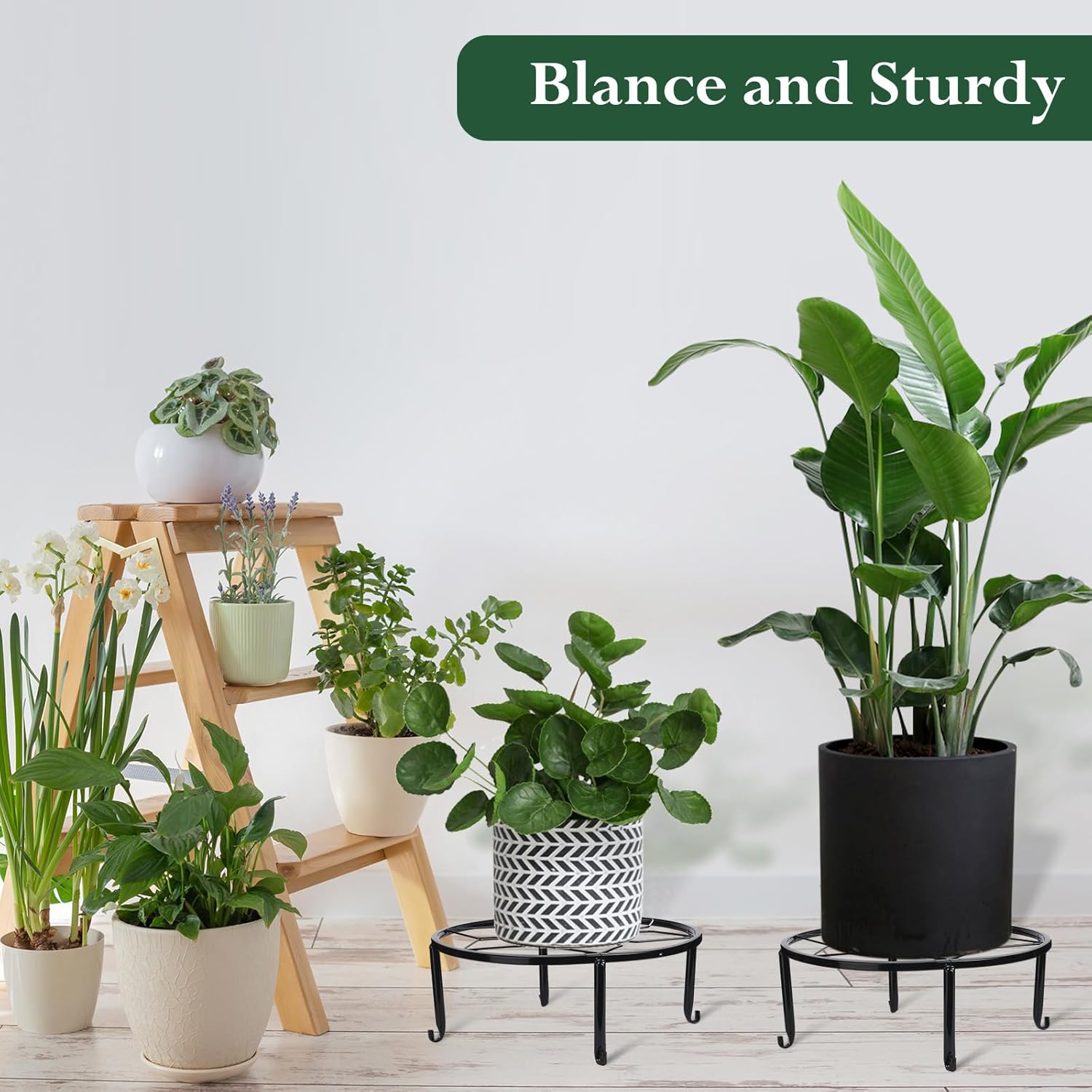 Beeveer 4 Pcs 12 Inch Black Metal Plant Stands for Indoor Outdoor Heavy Duty Pot Potted Stand Holder Iron Circle Plant Shelf Rustproof Risers Round Supports Rack for Home Garden Planter Display