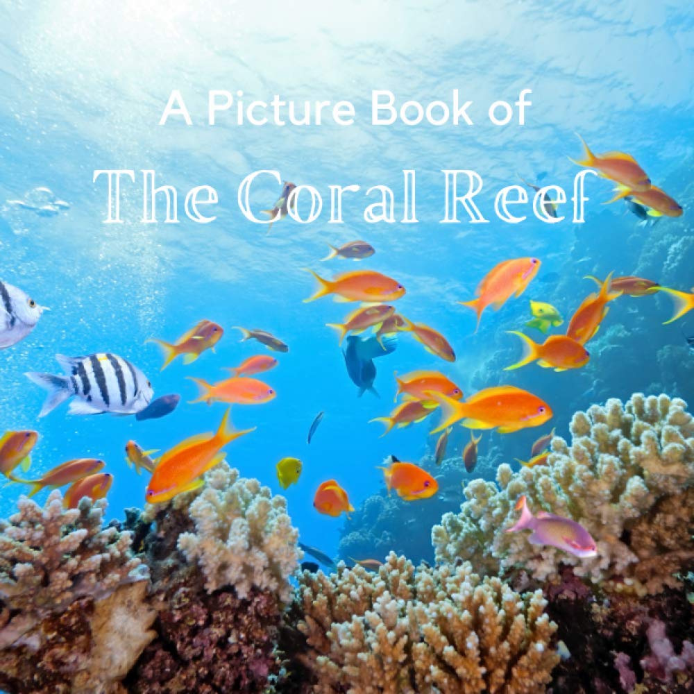 A Picture Book of The Coral Reef: A No Text Picture Book for Alzheimer’s Patients and Seniors Living With Dementia. (Picture Books For Seniors)
