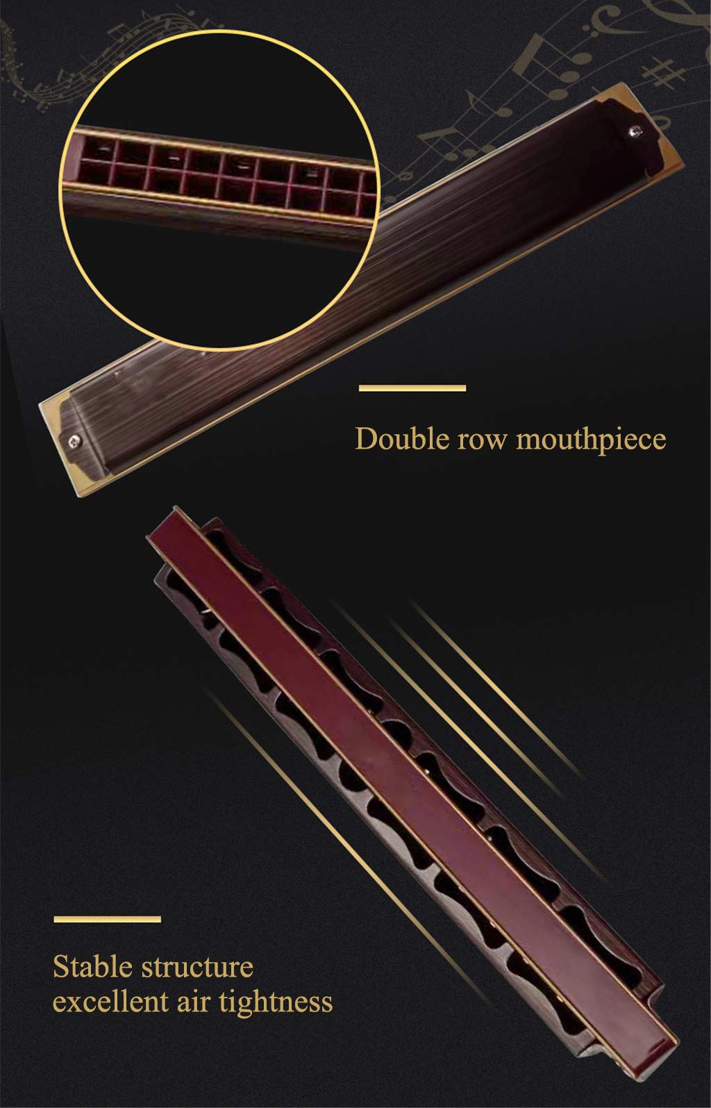 Harmonica C Key Tremolo Diatonic Harmonica con Custodia Rigida e Panno per Giocatori Professionisti, Principianti, Studenti, Adulti e Bambini
