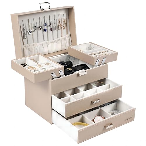 Dajasan Schmuckkästchen, Schmuckaufbewahrung, 4 Ebenen Schmuckschatulle mit 2 Schubladen, Groß Schmuckbox für Schminktisch, Modern, Geschenk für Frauen & Mädchen (Champagnerfarbe)