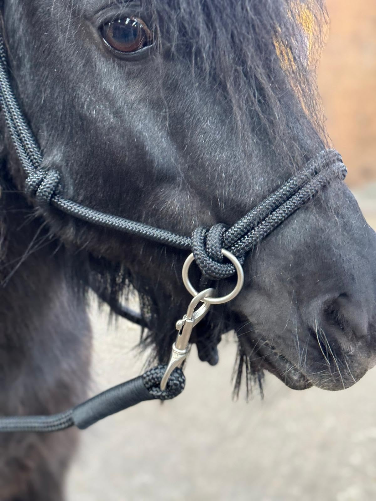 Rope headcollar with Reins for use of Bitless Horse Riding Full to Mini Shet 5 Colours (Black, Shetland) - Image 2