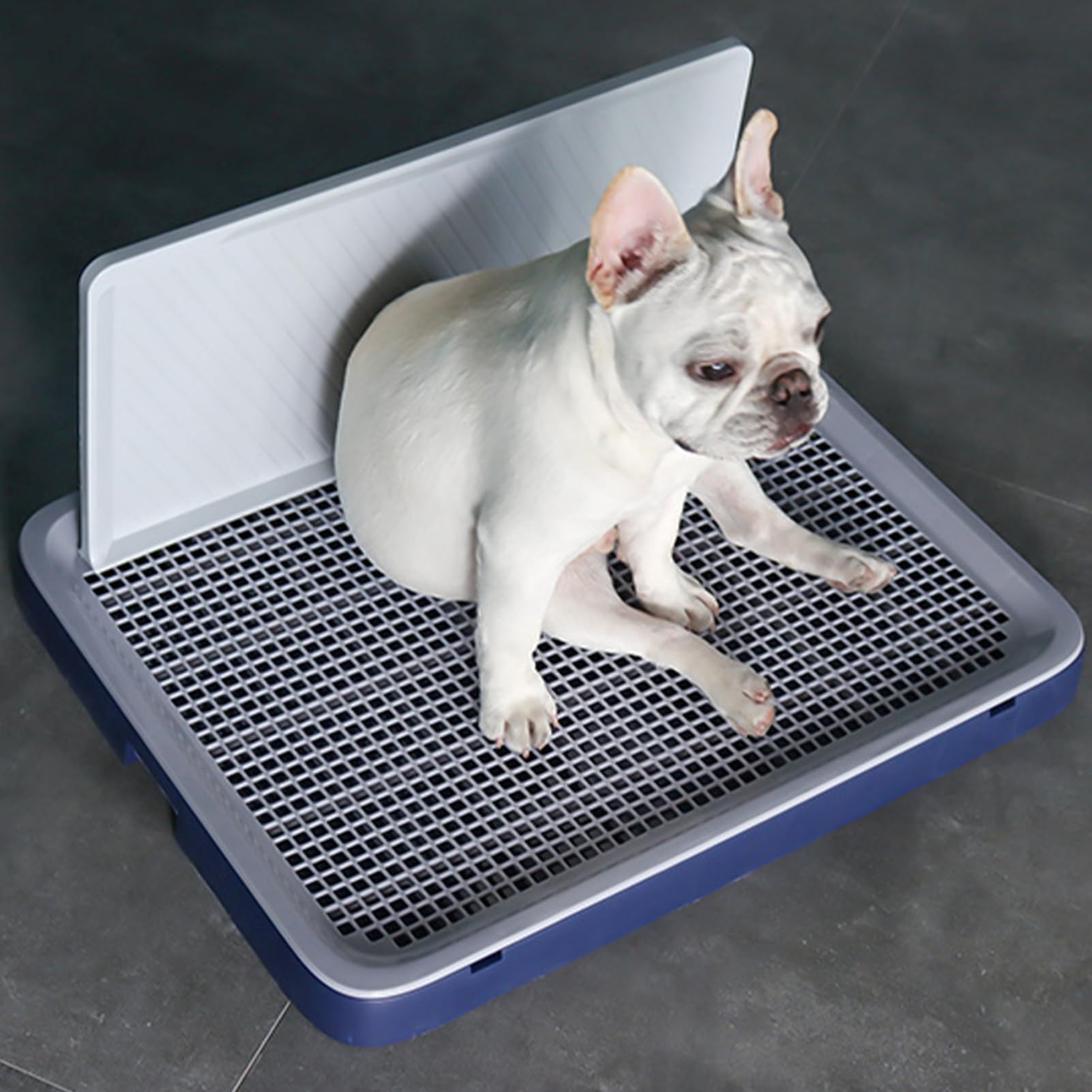 Toilette pour Chien De Compagnie Toilette, Bacs à Litières pour Chiens, Tapis De Propreté Chien, Tapis De Dressage pour Animaux De Compagnie, Support Portable (L,Blanc)