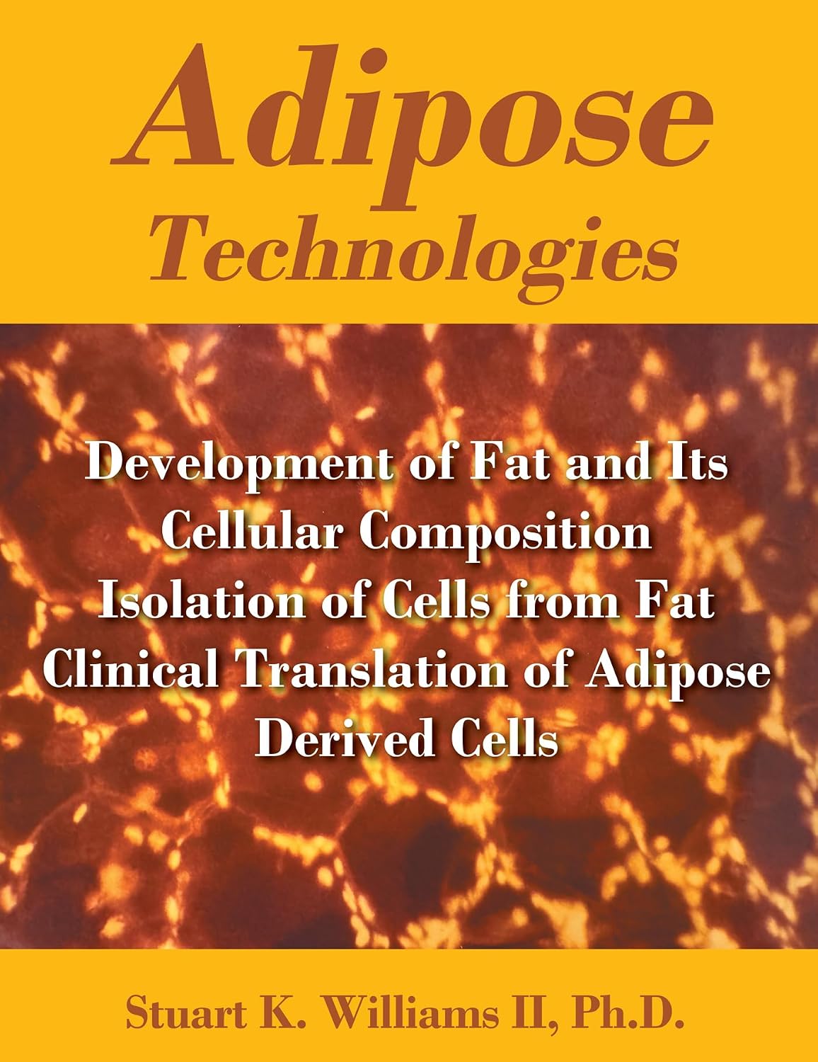 Adipose Technologies: Development of Fat and Its Cellular Composition Isolation of Cells from Fat Clinical Translation of Adipose Derived Cells