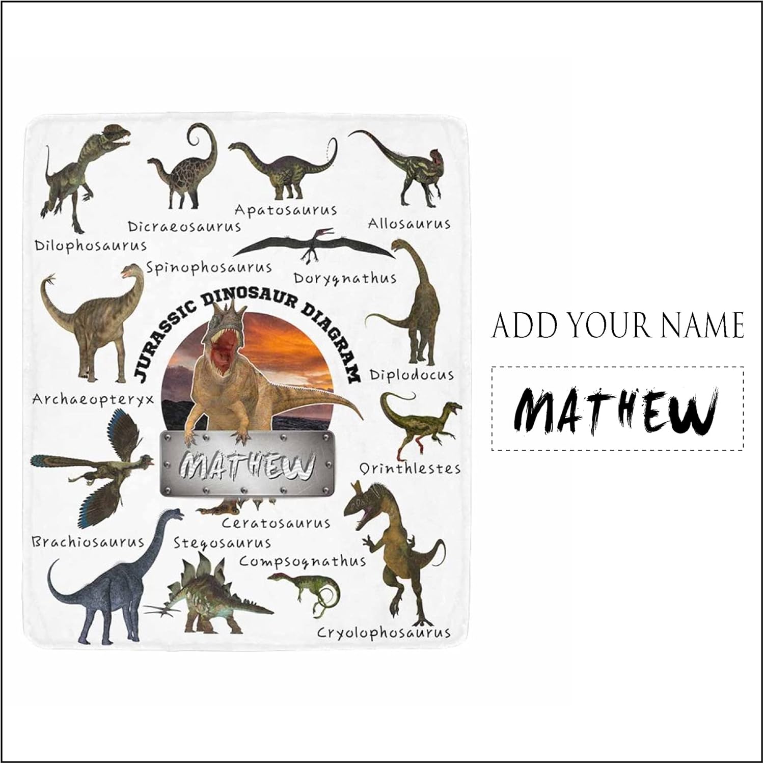 Personalized Dinosaur Blanket for Boys Girls, Custom Jurassic Dino Baby Blankets with Name, Customized Gifts for Toddlers Teen Dinosaur Fans, Fleece Throw Blanket for Bed Sofa Couch Camp 50"x60"
